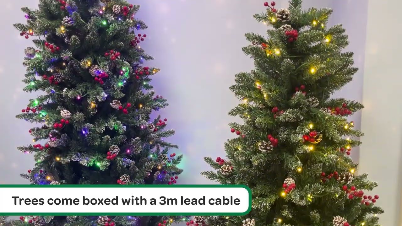 Frosted Pine BerryCone Collection Preview