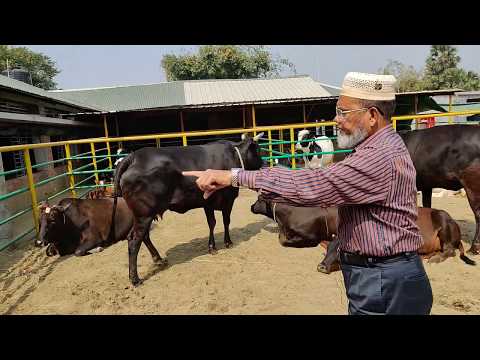 ভিডিও: কীভাবে একটি বন্ধকী সঠিকভাবে ব্যবস্থা করবেন?