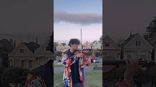 Duvet. #shorts #violin #music