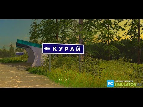 Курай красноярский край