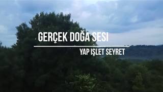 Hakiki Doğa Sesi - Kuş Sesi - 10 dakika Huzur