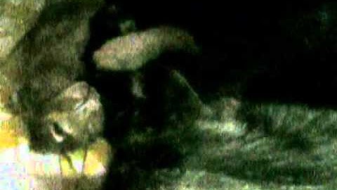 Super Mario Land - The Angry Video Game Nerd (Jaakko Reupload)