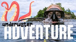 Underwater Adventure! Can you spot the Octopus? | Maddie Moate