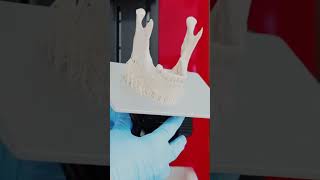 3D-printing with Raise3D & Liqcreate resins