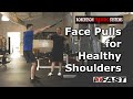 Face Pulls for Healthy Shoulders