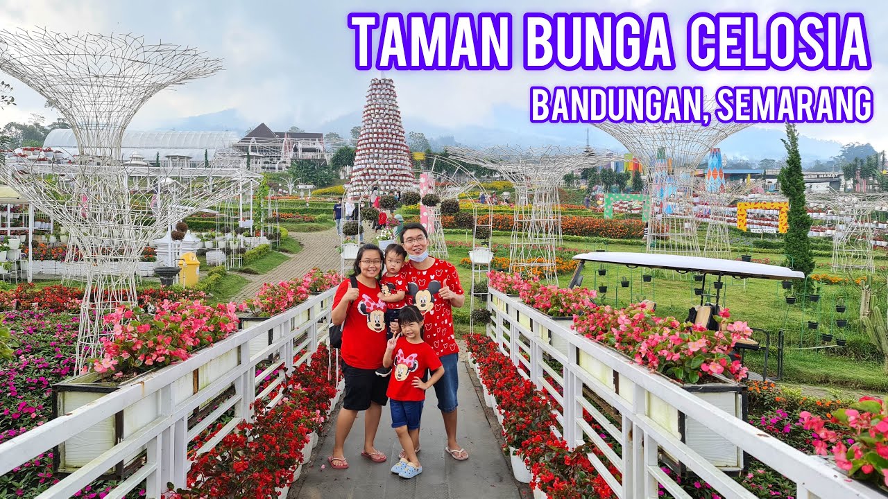 Taman Celosia Bandungan - Homecare24