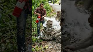 Celebrity Python Attack Stopped by Man… Unbelievable Rescue 😢🔥 Net Worth