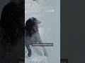Montana Pup Has A Blast With Snowblower