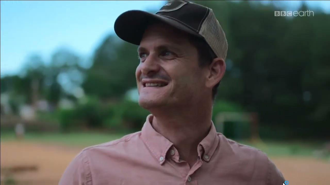 Satemwa Tea Estate Malawi Africa - Rare Tea Company