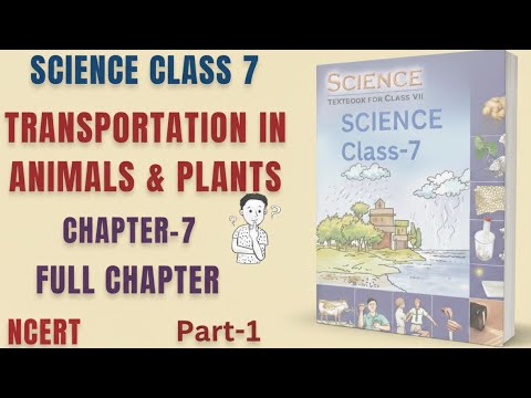 Transportation in Animals and Plants | Full Chapter Explanation | Class ...
