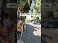 بياع الخضرة وصوت ام كلثوم بياع الخضرة وصوت ام كلثوم