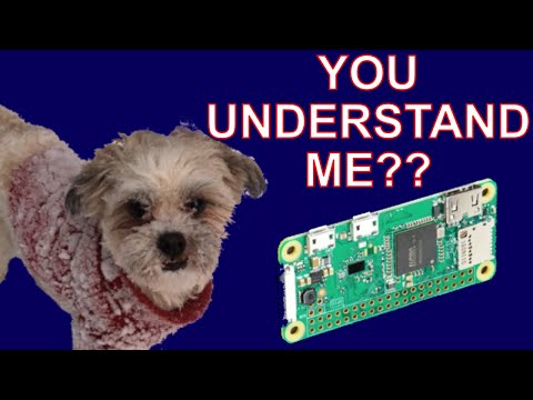 Device that Translates Dog Barks