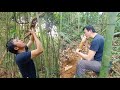 Drink Forest Rope Water, Eat Bamboo Shoots, Survival Instinct, Wilderness Alone ( ep 53 )