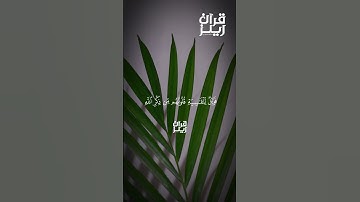 قرآن كريم🍁القارئ ماهر المعيقلي🍁(سورة الزمر )