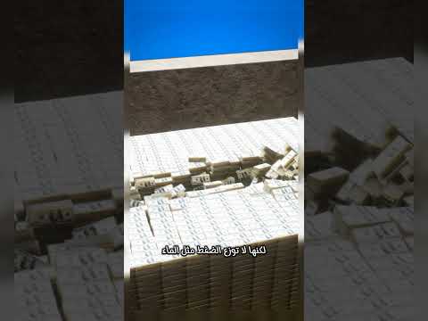 هل يمكن السباحة في كومة من العملات المعدنية أو الأوراق النقدية الحقيقة ستفاجئك