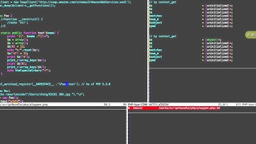 Debug Python / PHP file with VIM+DBGPavim