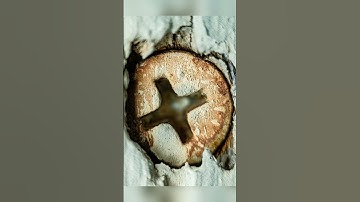 This 3D printed macro lens forever has a spot in my camera bag 🔥 #macrophotography #diy