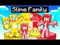 Having a SLIME FAMILY in Minecraft!