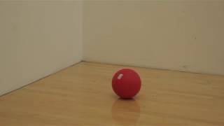 The Bouncing Ball Assignment (Assignment 3 WSU)