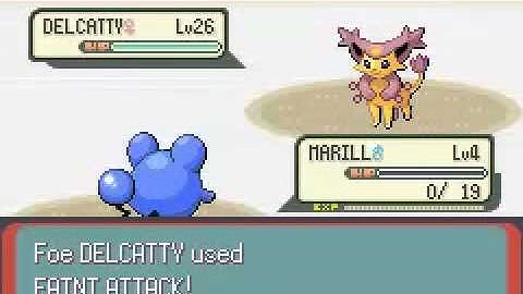 Pokemon Emerald 2:30 Speed Run Segment 17