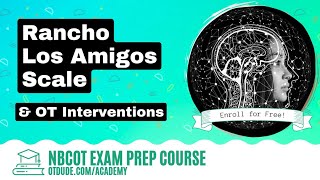 Rancho Los Amigos Scale | NBCOT Exam Prep | OT Dude Academy