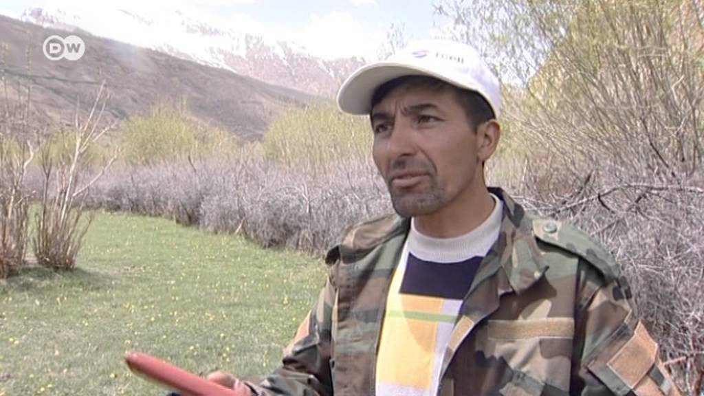 Waldrettung in Tadschikistan  | Global Ideas