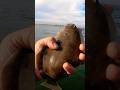 Pier Flounder Fishing: Is She a Keeper? #flounderfishing #girlfrienddrama #pierfishing #exgirlfriend