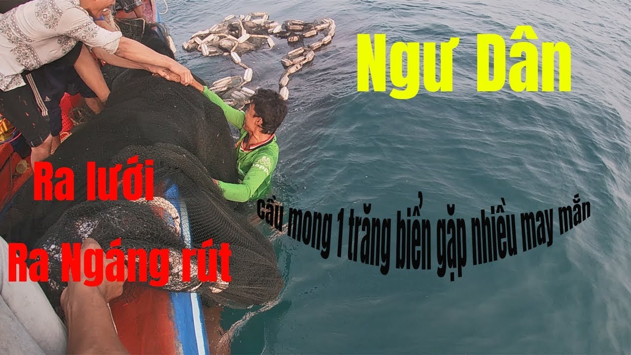 Đi Biển, Ngư dân Câu Mực Ra Lưới | Câu Mực Biển Tây