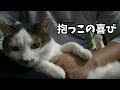 抱っこされて嬉しくなっちゃった猫