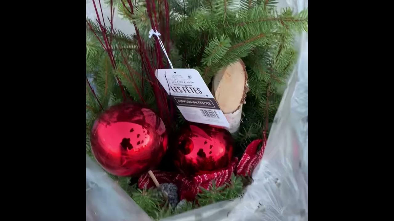 Freshco Canada Fresh Balsam Fir Christmas Tree Poinsettia urn