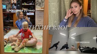 Тихий Влог, Домашняя Рутина