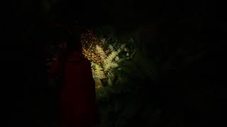Download Lagu ALAN WAKE 2 THE FINAL DRAFT Gameplay Walkthrough Part 2 MP3 Download Lagu ALAN WAKE 2 THE FINAL DRAFT Gameplay Walkthrough Part 2 MP3