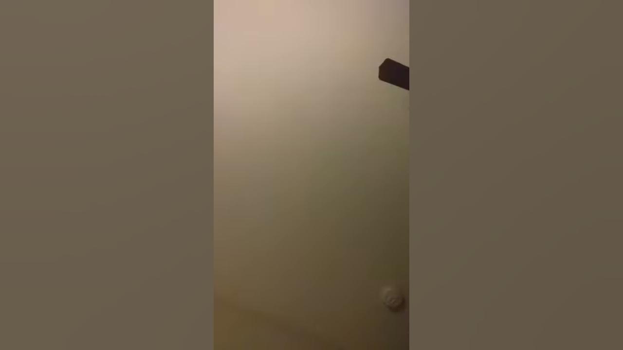 ukulele song again and cat