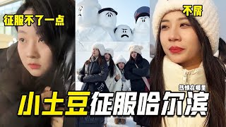 Southern small potatoes conquered Harbin, and indeed the most fun winter in northeast China is sout