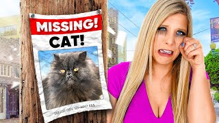 My CAT Was KIDNAPPED…