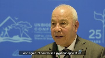 Hamdallah Zedan, Egypt