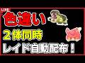 【ワンパン最速】色違い2体同時レイド自動配布!【ポケモンSV】