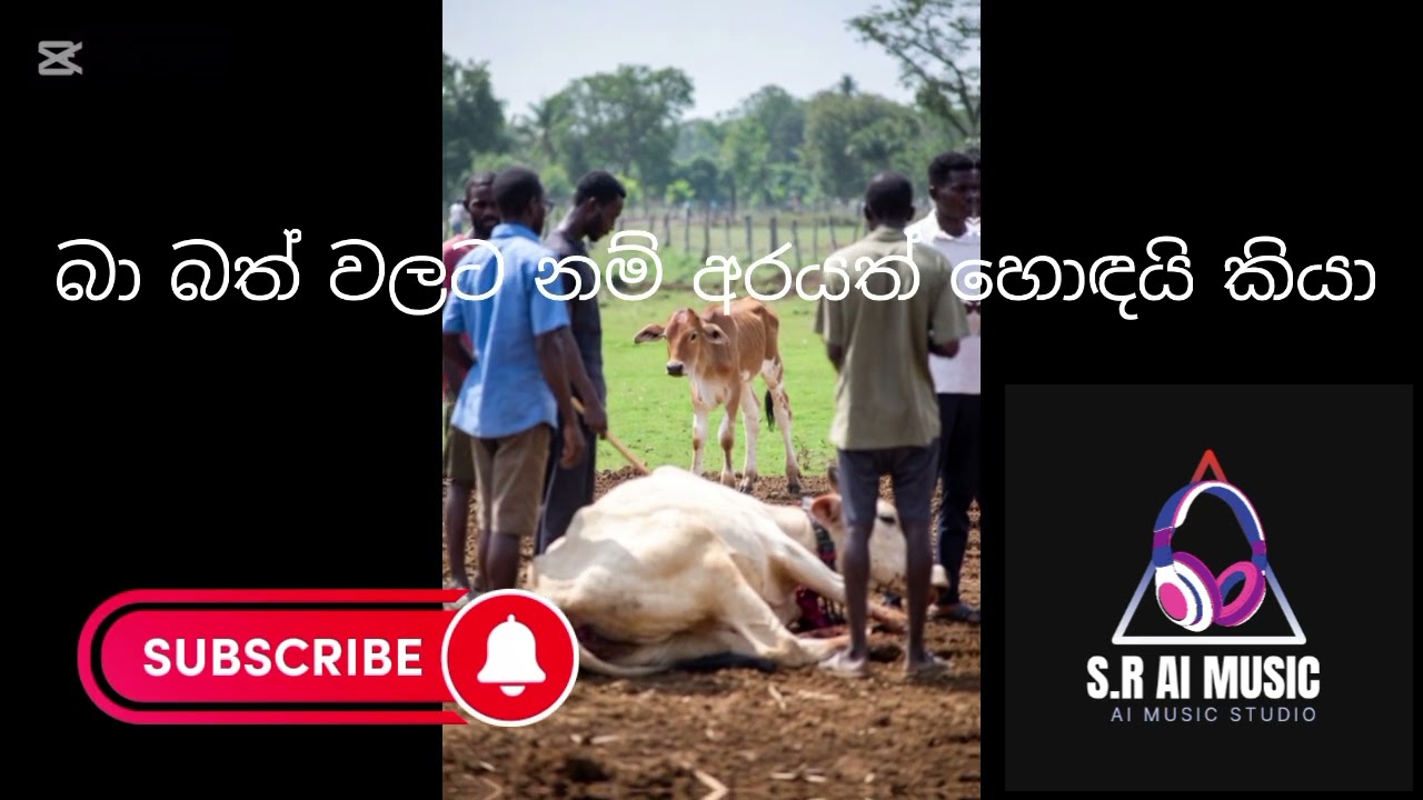 Baa bath valata nam arayath hodayi kiyaa..(බා බත් වලට නම් අරයත් හොඳයි කියා ...)new sinhala song