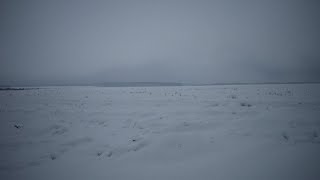 Сюжет ТСН24: Житель Тульской области потерялся в поле, разыскивая собаку Сюжет ТСН24: Житель Тульской области потерялся в поле, разыскивая собаку
