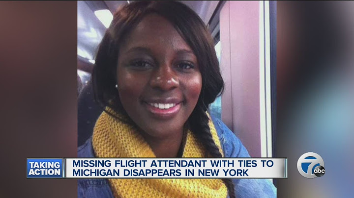Flight attendant with ties to Michigan vanishes