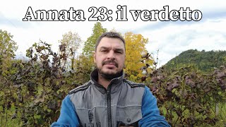 2023, La Peggior Annata Degli Ultimi Anni?