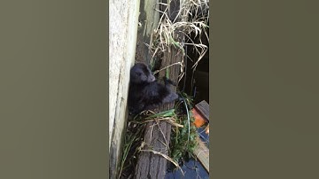 Nice surprise on my muskrat float
