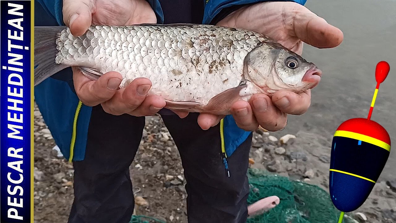 Pescuit la PF2. Tura a doua.2024