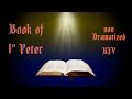 1 Peter KJV Audio Bible with Text