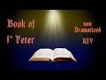 1 Peter KJV Audio Bible with Text 📖