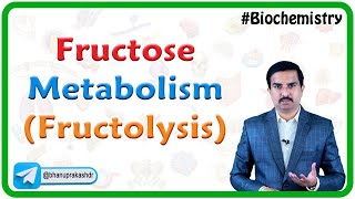 Fructose Metabolism (Fructolysis)🍏 | Medical Biochemistry🍯🧬 Dr G Bhanu Prakash