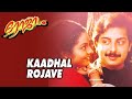 Kadhalrojavecoversong  roja     