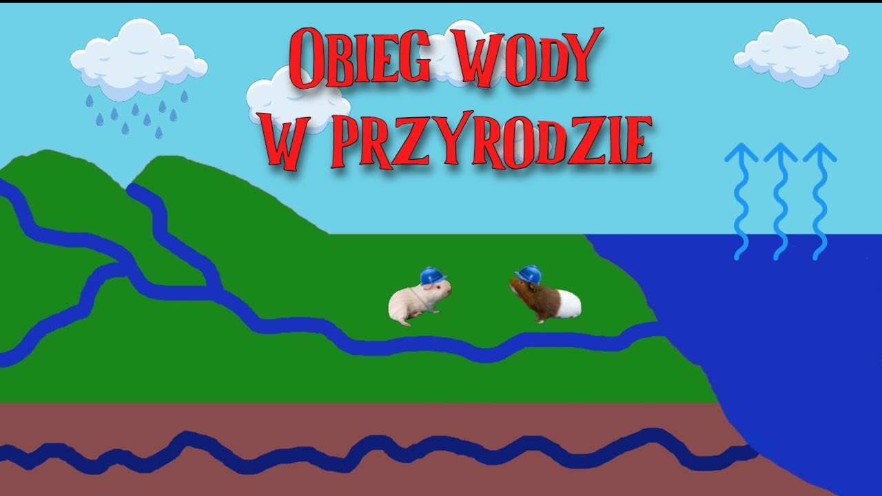Sprawdzian Siły W Przyrodzie Klasa 7 Krążenie wody w przyrodzie (lekcja przyrody dla klasy 4 online) - YouTube
