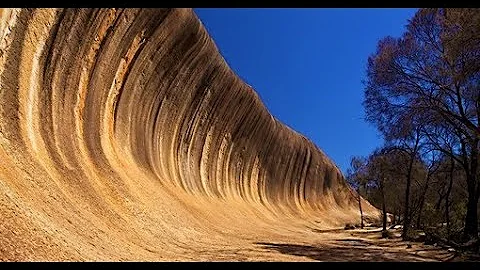 Quante foreste pluviali esistono?