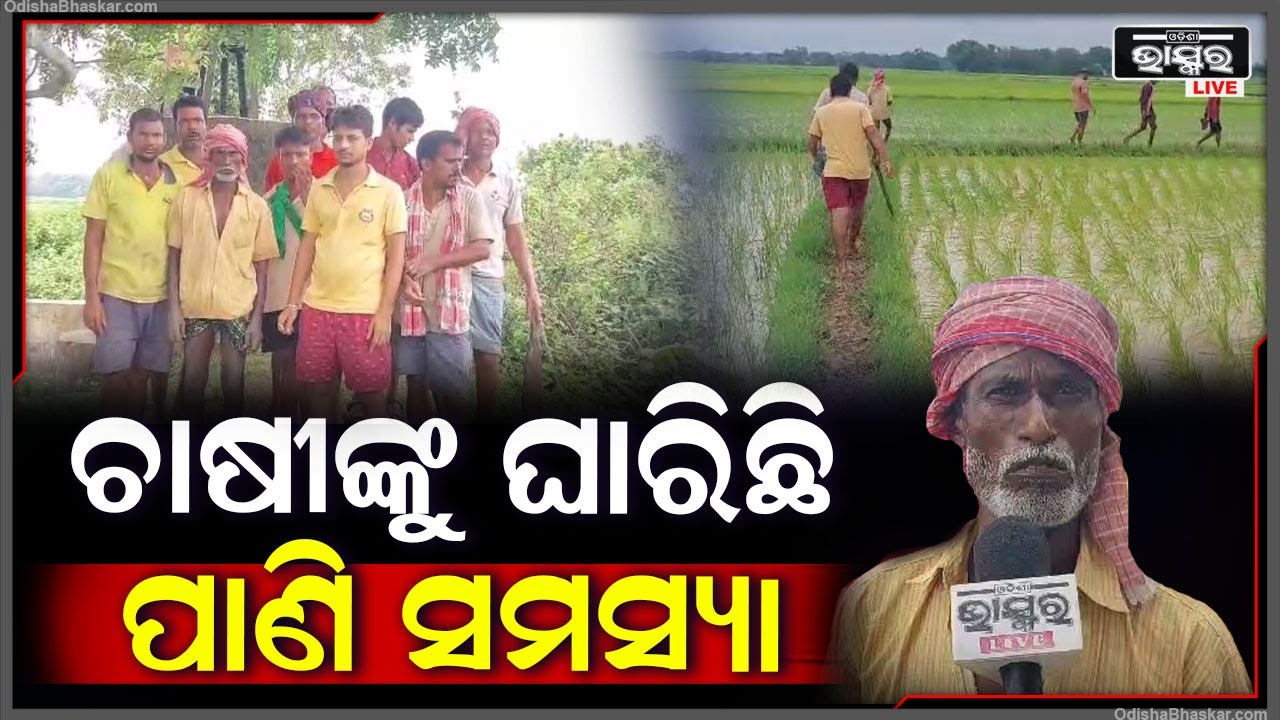 କାମରେ ଆସୁନାହିଁ ସୁଉଚ୍ଚ ଗେଟ, ପଡିଆ ପଡୁଛି ବିଲ ଚାଷ କାର୍ଯ୍ୟ ବାଧାପ୍ରାପ୍ତ ହୋଇଛି |